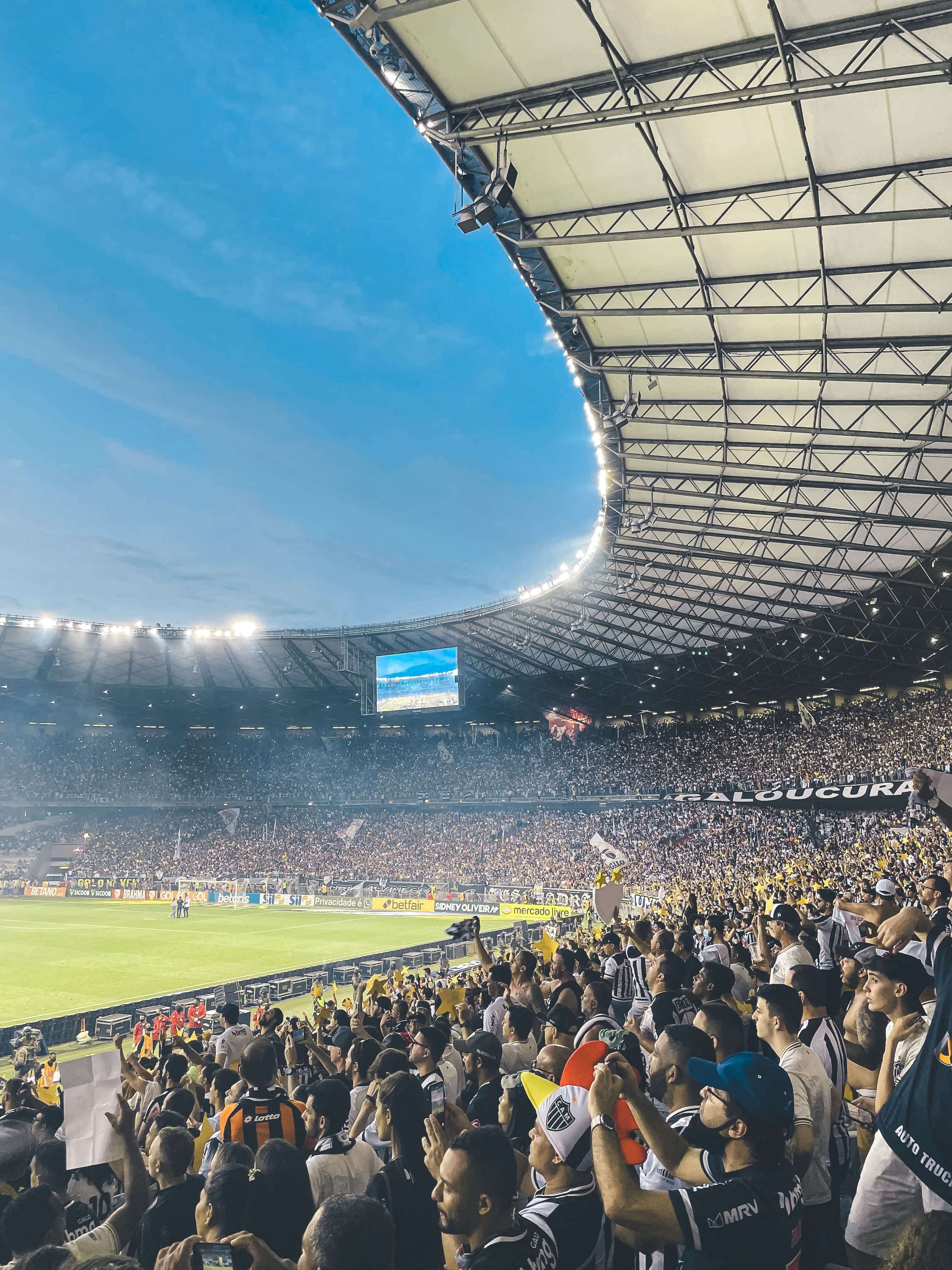 Mineirão Stadium, Belo Horizonte, Brazil.